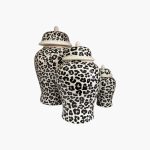ظروف چینی